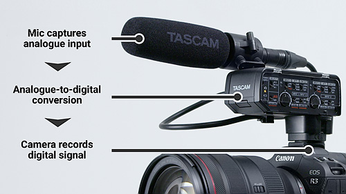 Tascam CA-XLR2d – Signal flow explained