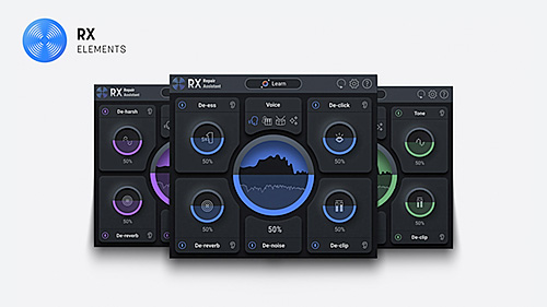 A free download voucher for iZotope RX Elements is included with the Tascam DR-10L Pro.